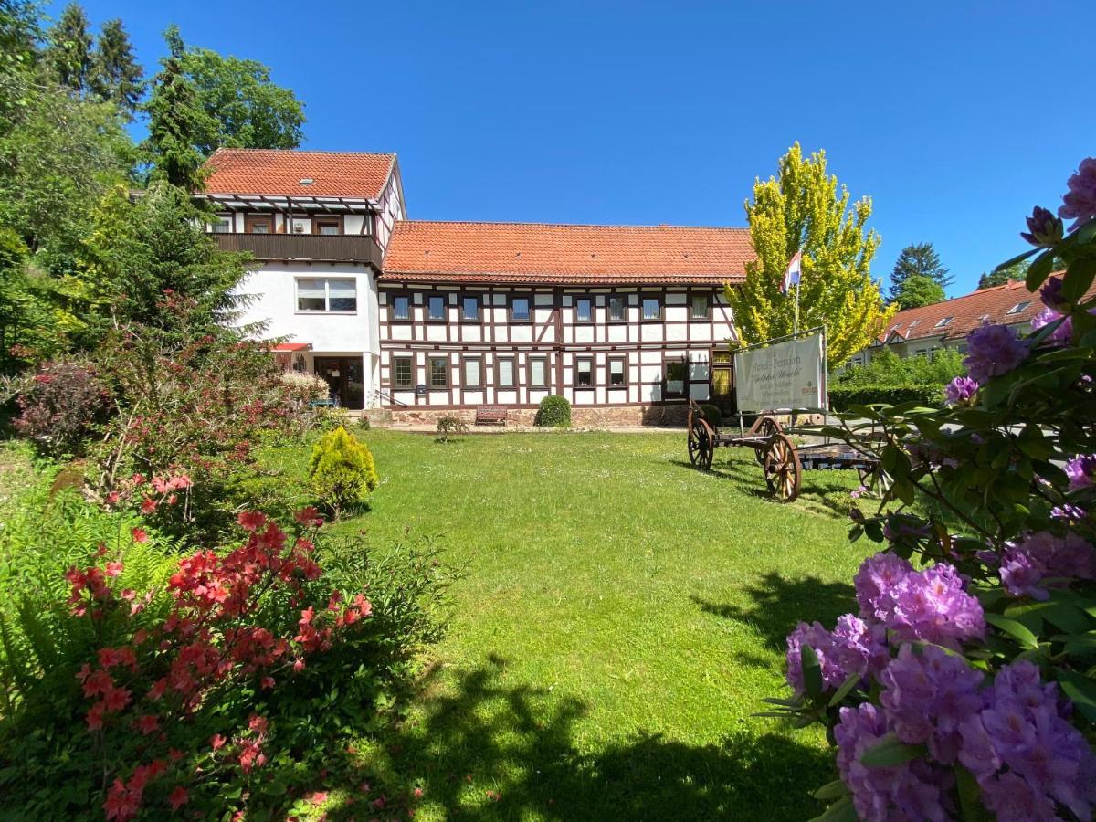 Hotel Pension Gelpkes Muehle Bad Sachsa Εξωτερικό φωτογραφία